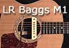 The LR Baggs M1, MPG for Macs