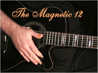 Magnetic Sound Hole Pickups with Acoustic 12 strings